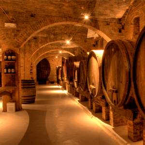 氣體檢測(cè)儀 氣體檢測(cè)儀