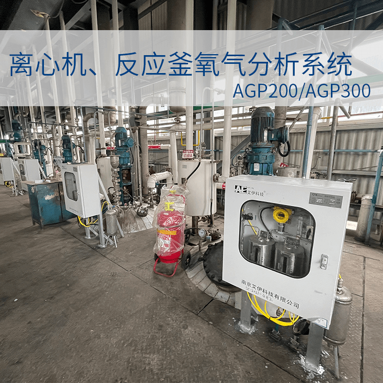 防爆在線氧含量分析儀 防爆在線氧含量分析儀