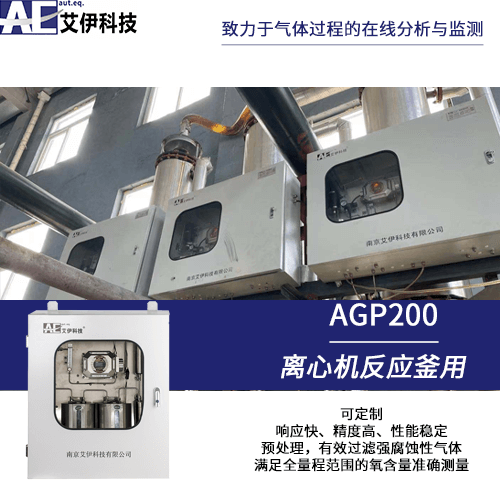 在線(xiàn)反應(yīng)釜氧含量分析系統(tǒng)分析儀